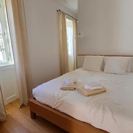 Ficus Apartment