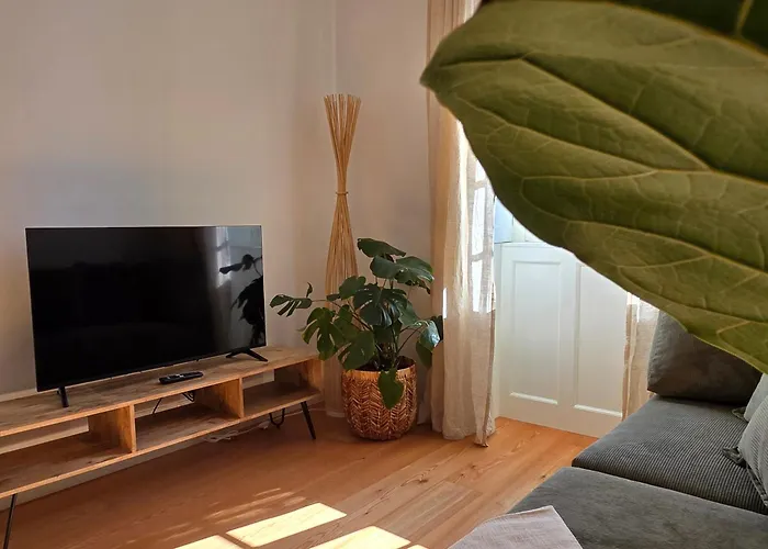 Ficus Apartman Ponta do Sol