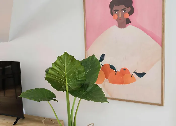 Ficus * Ponta do Sol (Madeira)