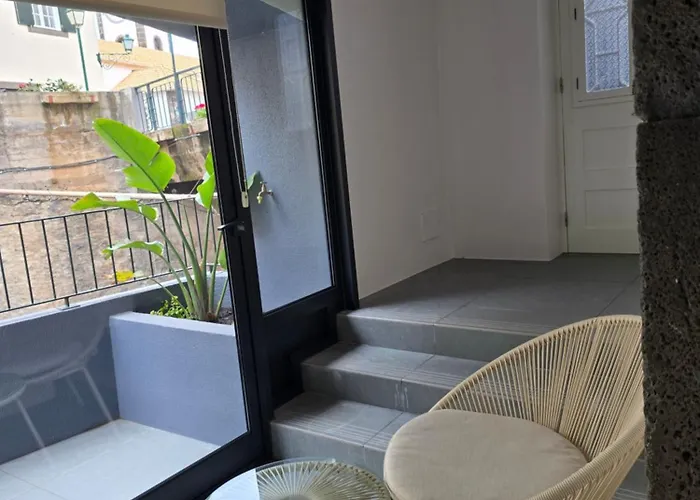 Ficus Apartman *