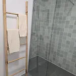 Ficus 蓬他达维托亚