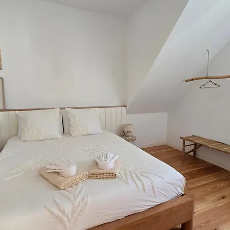 Ficus Апартаменты *