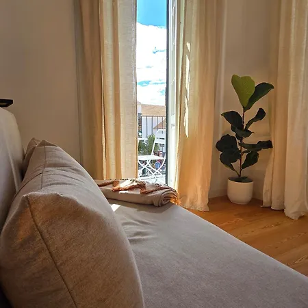 דירה Ficus *