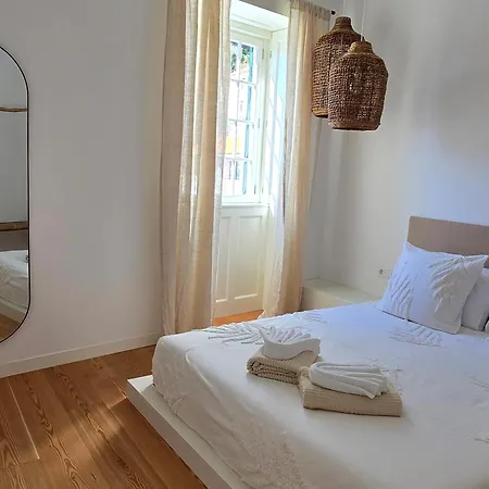 Ficus * Понта-ду-Сол