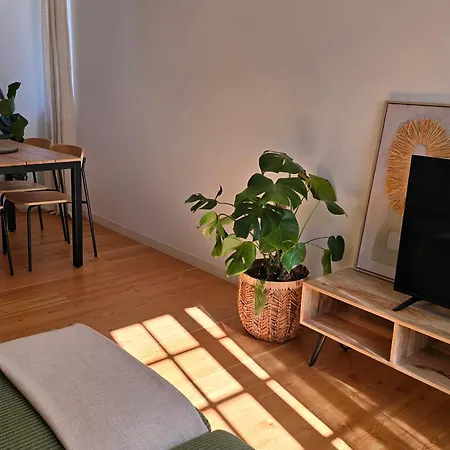 Ficus פונטה דו סול
