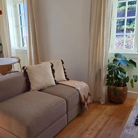 Lejlighed Ficus