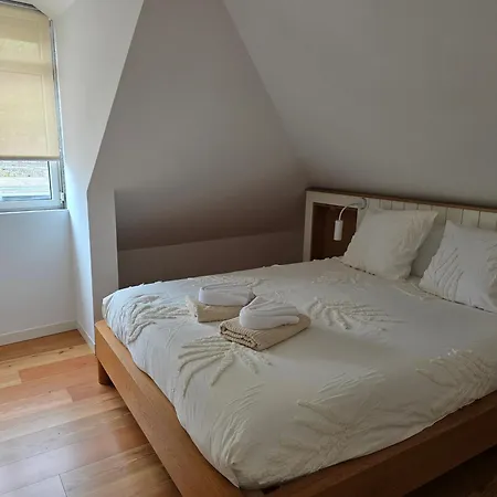 Ficus Понта-ду-Сол