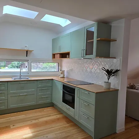 Ficus Понта-ду-Сол