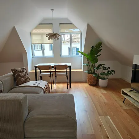 Ficus * Понта-ду-Сол