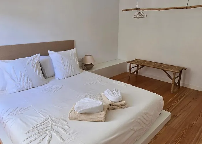 Ficus 公寓 蓬他达维托亚