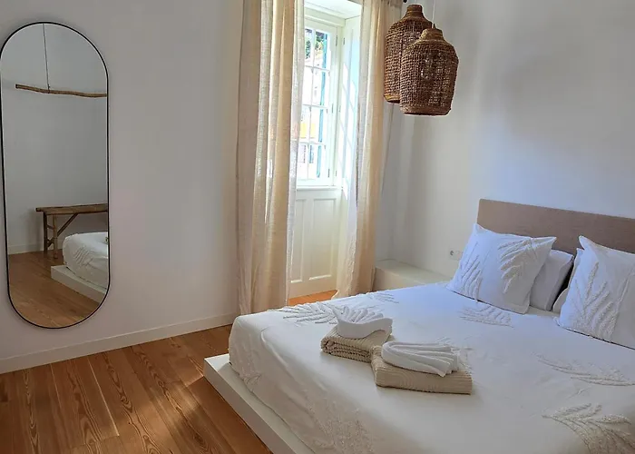 Ficus * Понта-ду-Сол