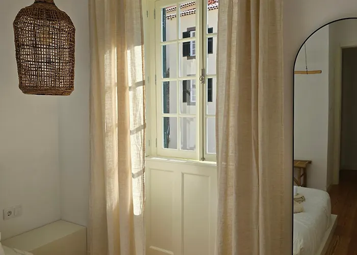 Ficus 公寓 蓬他达维托亚