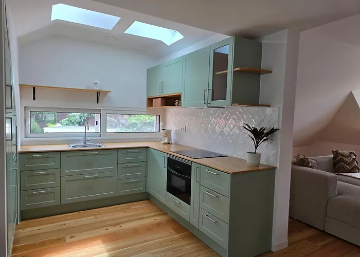 Ficus Понта-ду-Сол