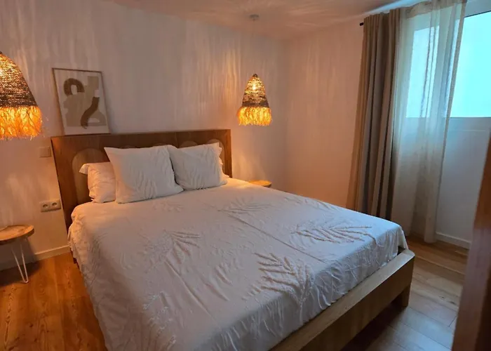 Ficus * Понта-ду-Сол