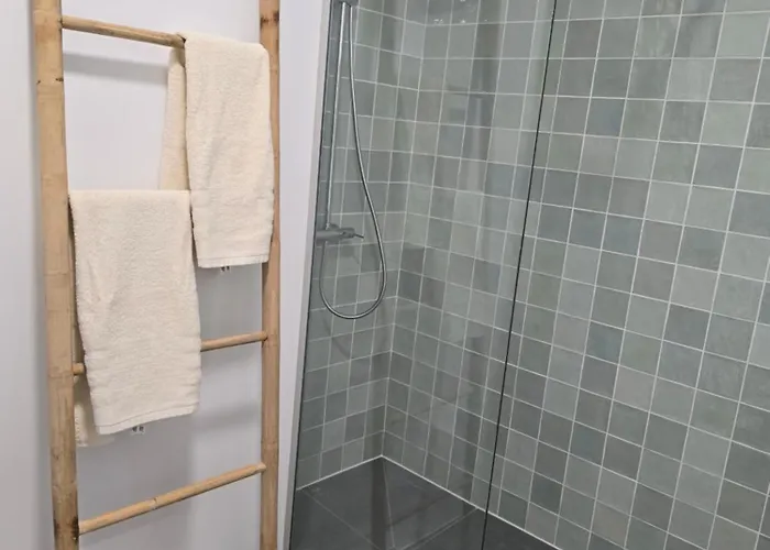 Ficus Ponta do Sol (Madeira)